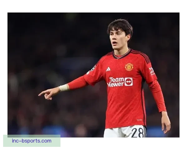 佩利斯特里正式加盟帕纳辛奈科斯开启全新赛季征程